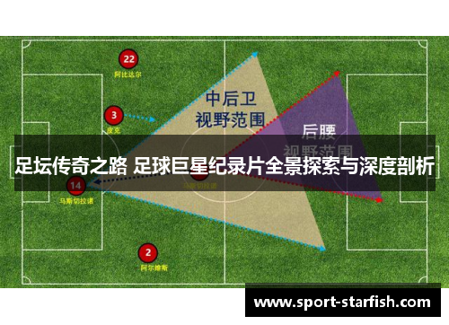 足坛传奇之路 足球巨星纪录片全景探索与深度剖析